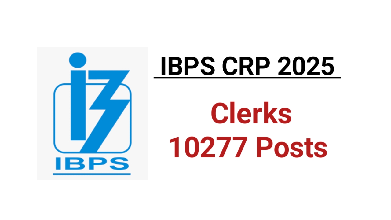 1000011528 IBPS Clerks Recruitment 2025